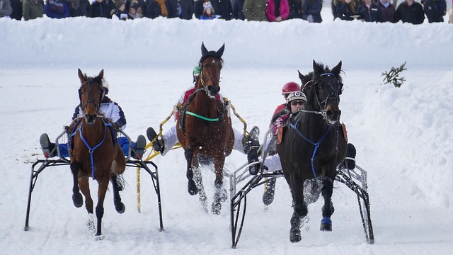 雷霆11月24日以122-95大胜开拓者，杨瀚森打破中国球员NBA得分纪录，展现强大实力。