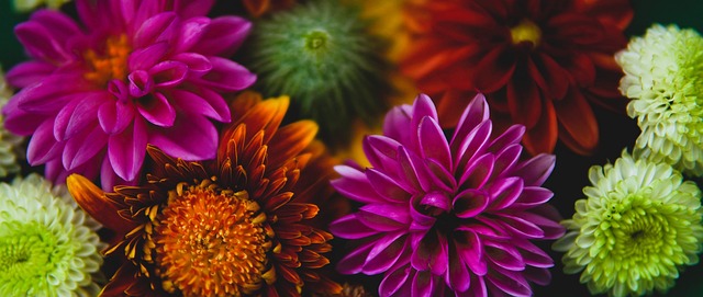 0-3！中国女排被淘汰主帅怒斥队员排球世锦赛无缘四强