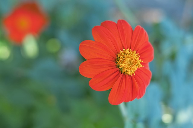 打造中东足 打造中东足