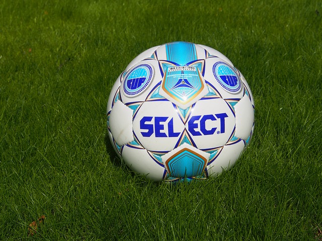 这无疑是对 这无疑是对