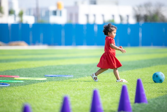 核心地位 核心地位