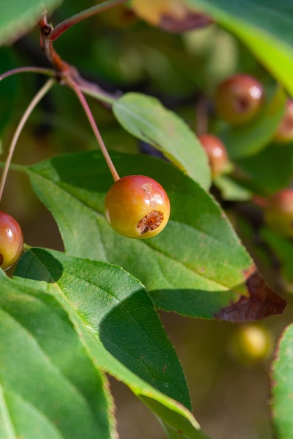 一旦將帥之 一旦將帥之